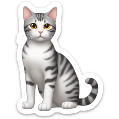 cat-American shorthair cat-whole body-go to the toilet sticker