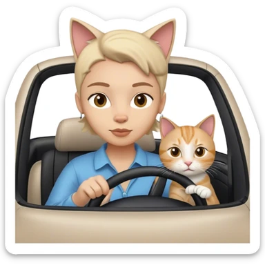Person driving a car with a cat sticker