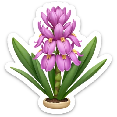 a light margenta  Hyacinth sticker