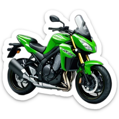 Kawasaki Z1000 2011 sticker