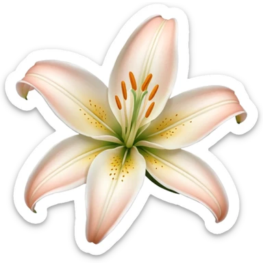 Lily flower sticker