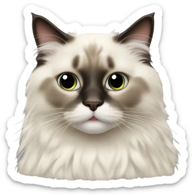 Ragdoll cat sticker