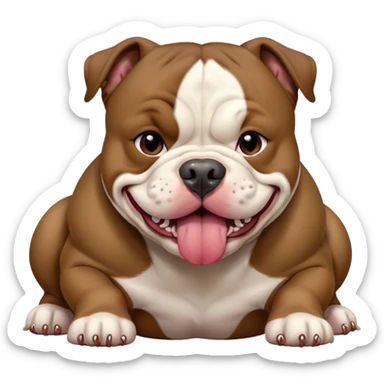 kkkiller-american-bully dark brown tan white tongue out sticker