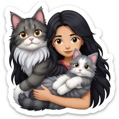 Girl with long black hair hugging a gray fluffy plush toy and a tricolor Maine Coon cat sticker