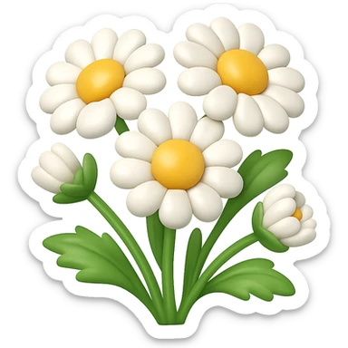 Create a 3D illustration of daisies in the style of iOS Apple emojis, featuring voluminous petals and yellow centers, on a transparent background. The style should reflect the characteristic look of Apple emojis with a polished and dimensional appearance. sticker
