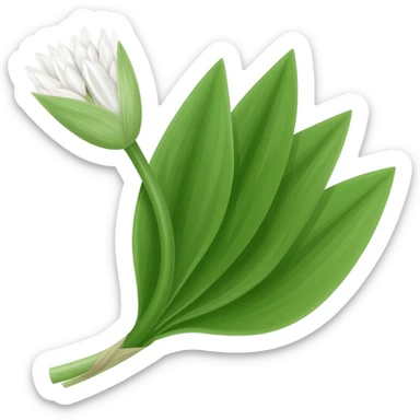 wild garlic sticker