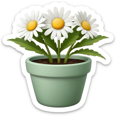 daisy flower pot sticker