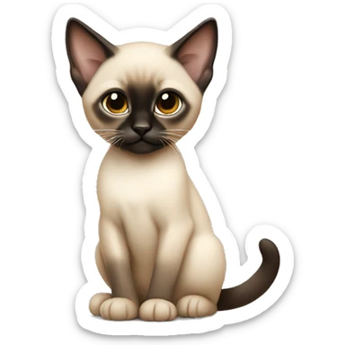 Siamese kitten sitting  sticker