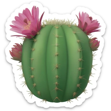 Emoji cactus with pink flowers sticker