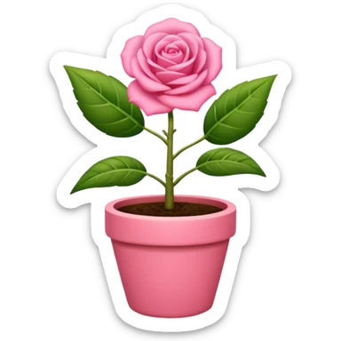 Una planta bonita, con su masetá color rosa sticker