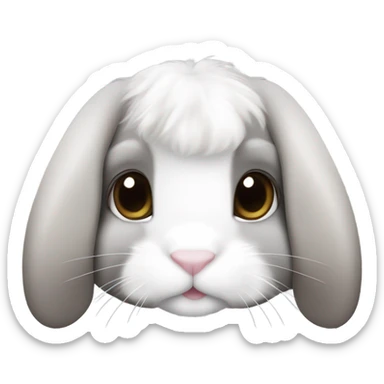 A holland lop bunny with a sable point coloring. White and gray. And spikey hair sticker