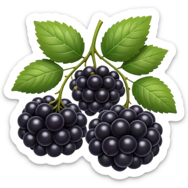 black berry sticker