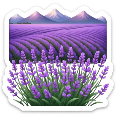 Pembe lavanta  sticker
