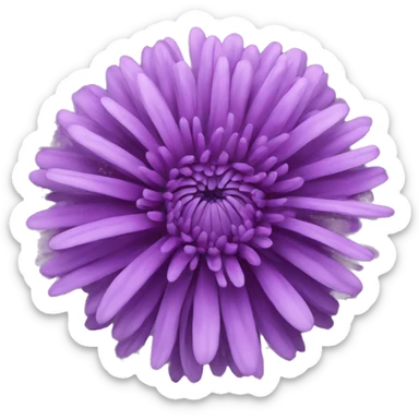 purple chrysanthemum  sticker