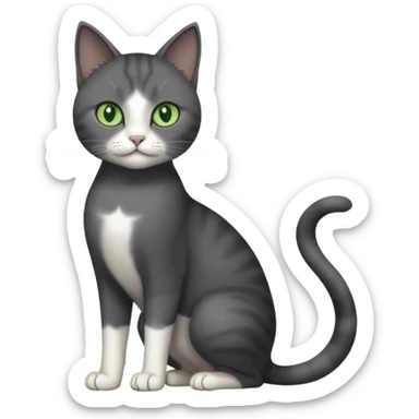full body view of beautiful female dark grey cat with green eyes, white toes and white patch on chest sticker