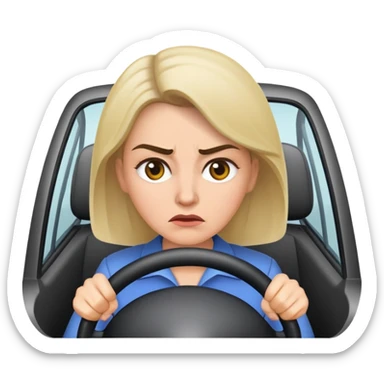 Dumb female driver sticker