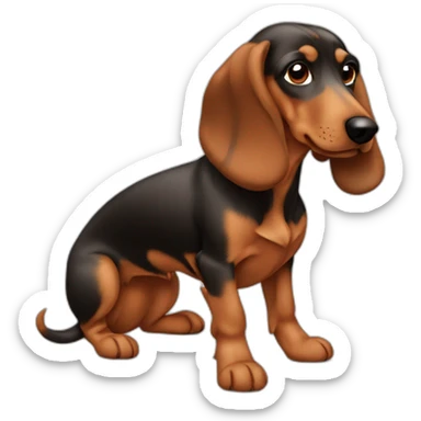 Teckel croisé ratier avec poil sticker