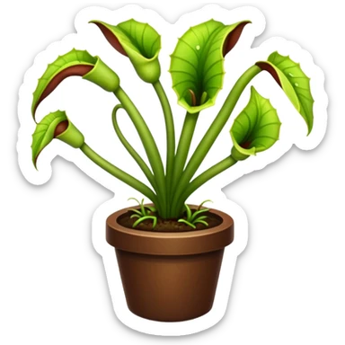  planta carnivora sticker