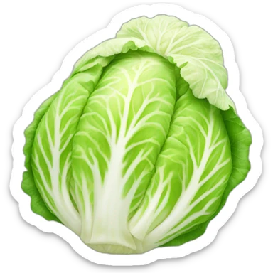 Kimchi cabbage sticker
