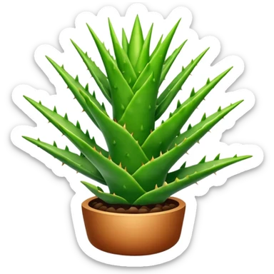 Aloe sticker