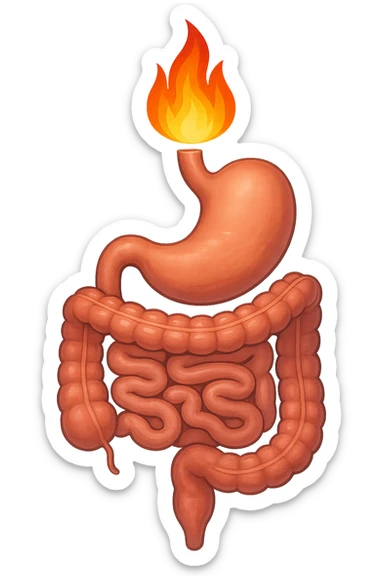intestino e stomaco sono collegati, con una fiamma che brucia sopra, isolate su sfondo bianco sticker