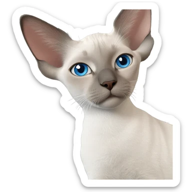 blue eyed cat gaze sticker