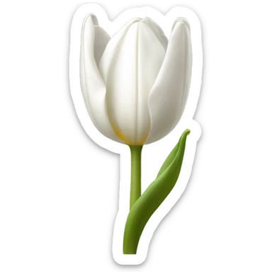 White tulip sticker