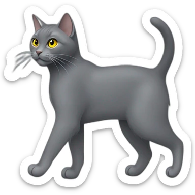 cuddly fluffy grey korat breed cat with yellow eyes black pupils, walking and playing female sticker