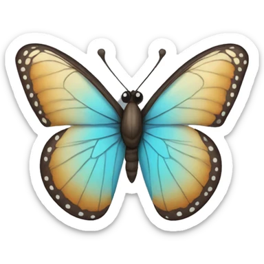 buterfly sticker
