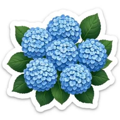 Hydrangeas sticker