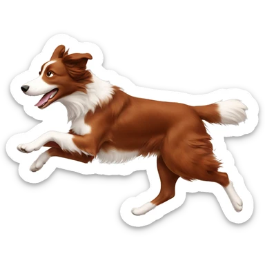 Red border collie running sticker