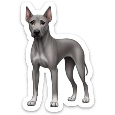 Dog gray Thai Ridgeback Full-height sticker