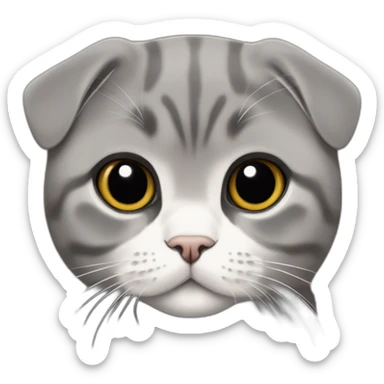 Scottish Fold gray Tommy Hilfiger sticker