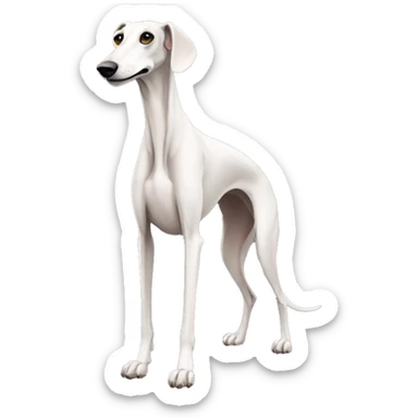 Galgo de pelaje atigrado con una pata trasera más corta  sticker