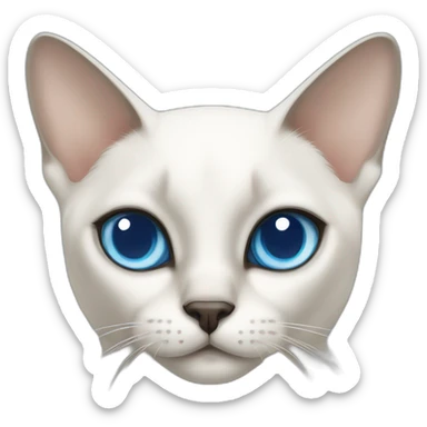 white siamese cat with slanting blue eyes sticker