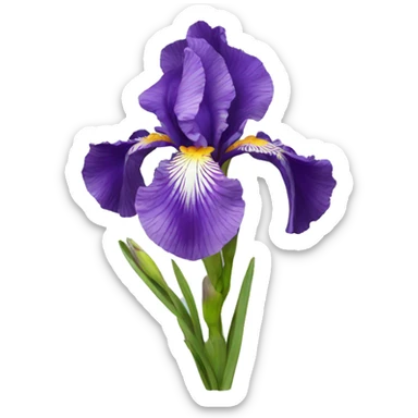 iris flower sticker