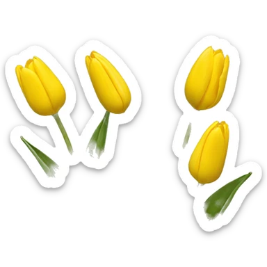 tulipan yellow sticker