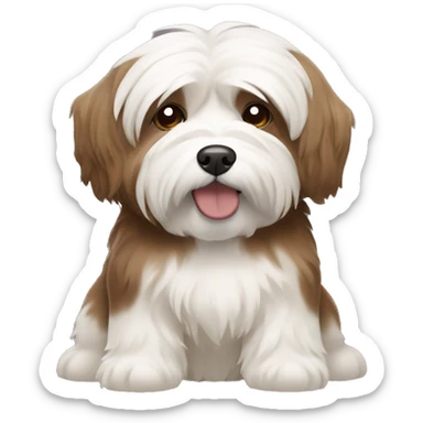 Brown and white fat Havanese dog sticker