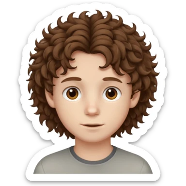 boy,  brown hair, curly hair, brown eyes, pale skin, , hair sticker