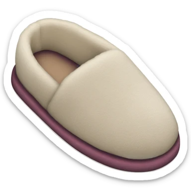 house slippers sticker