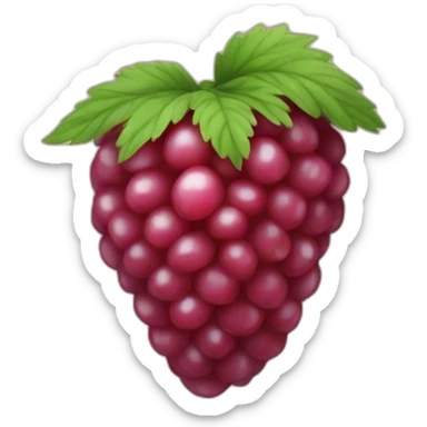 Framboise fruit sticker