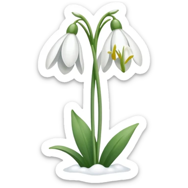 Snowdrop sticker