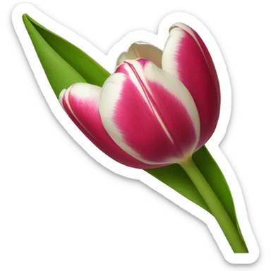 Tulip sticker