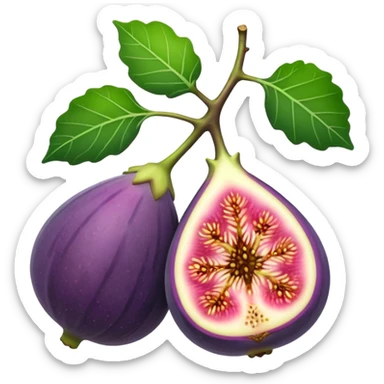 Fig fruit sticker