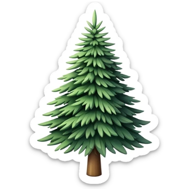  actual white fir christmas tree isolated.  sticker