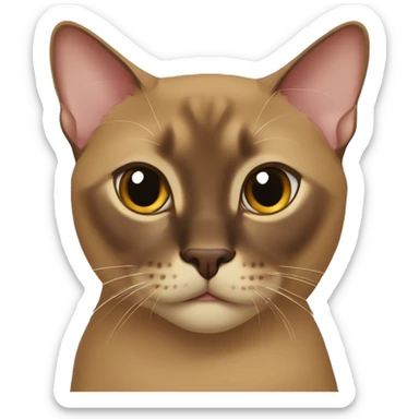 brown Burmese cat (portrait, iOS 17 style, happy) sticker