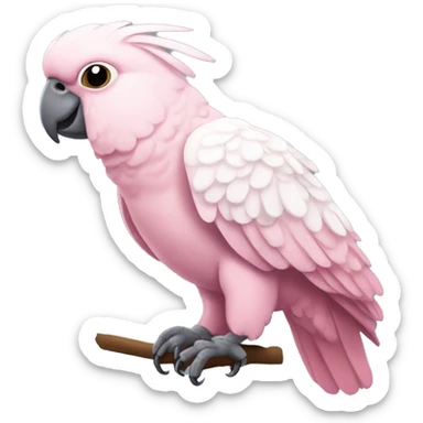 Pink cockatoo  sticker
