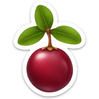 CRANBERRY sticker