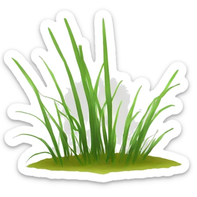	Flatspike sedge sticker