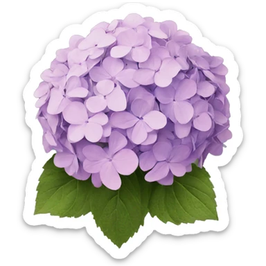 hydrangea sticker